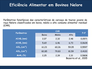 Eficiência Alimentar em Bovinos Nelore
Parâmetros
CAR
P>F
Baixo Médio Alto
ACABP (mm) 2,07 2,32 2,48 0,0571
ACABC (mm) 5,69 6,46 6,73 0,0628
AOLP (cm²) 61,23 60,26 59,05 0,5597
AOLC (cm²) 82,85 79,83 81,59 0,4120
MARC (%) 2,25 2,39 2,31 0,5808
Bezerra et al., 2015
Parâmetros fenotípicos das características de carcaça de touros jovens da
raça Nelore classificados em baixo, médio e alto consumo alimentar residual
(CAR).
 