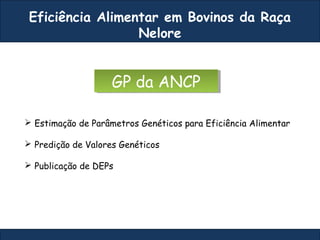 Eficiência Alimentar em Bovinos da Raça
Nelore
GP da ANCPGP da ANCP
 Estimação de Parâmetros Genéticos para Eficiência Alimentar
 Predição de Valores Genéticos
 Publicação de DEPs
 