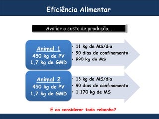 Avaliar o custo de produção...Avaliar o custo de produção...
Eficiência Alimentar
E ao considerar todo rebanho?
 