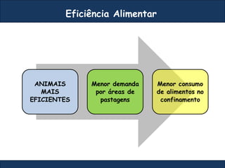 Eficiência Alimentar
 