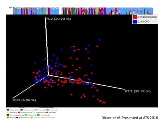 N=137 Bronchiectasis patients
N=114 COPD patients
All clinically stable for 4 weeks at
baseline
0
2 0
4 0
6 0
8 0
1 0 0
P revotella V e illon ella
S tre p to c o c c u s L e p to tric h iaN e is se ria
H a e m o p h ilu s
M oraxe lla
P se u d o m o n a s
S te n o tro p h o m o n a s
R o th ia
A c tin o b a c illu sP a ste u re lla
U n k n o w n E n te ro b a c te ria ce a eA c in e to b a c te r
C O P D B ro n c h ie c ta s is
0
2 0
4 0
6 0
8 0
1 0 0
P revotella V e illon ella S tre p to c o c c u s L e p to tric h iaN e is se riaH a e m o p h ilu s M oraxe llaP se u d o m o n a s
S te n o tro p h o m o n a s R o th iaA c tin o b a c illu sP a ste u re lla U n k n o w n E n te ro b a c te ria ce a eA c in e to b a c te r
C O P D B ro n c h ie c ta s is
Dicker et al. Presented at ATS 2016
 