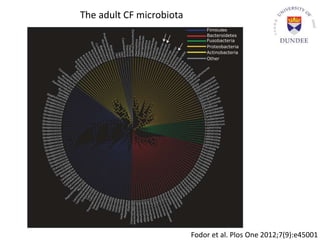 The adult CF microbiota
Fodor et al. Plos One 2012;7(9):e45001
 