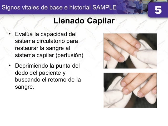 05 Signos vitales basales e historial sample