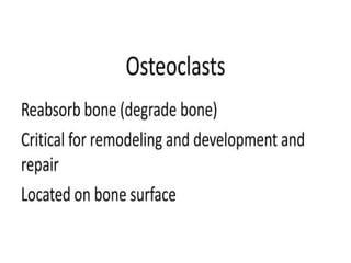 05 Skeletal Tissue.pptx scienc.e gen bio