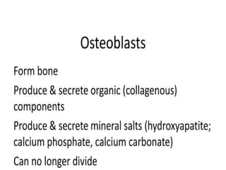 05 Skeletal Tissue.pptx scienc.e gen bio