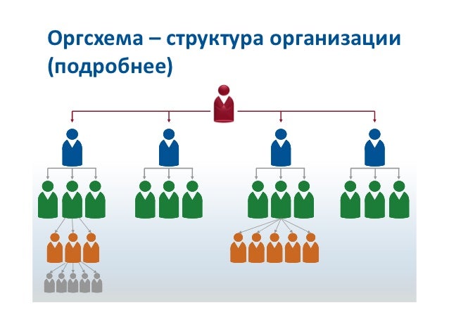 Структура персонала предприятия схема. Матричная структура организации. И его структура в компании. Состав и структура кадров предприятия схема. Структура компании юнилевер.