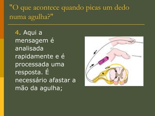 "O que acontece quando picas um dedo numa agulha?" 4 . Aqui a mensagem é analisada rapidamente e é processada uma resposta. É necessário afastar a mão da agulha; 