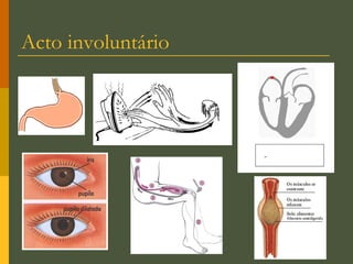 Acto involuntário 