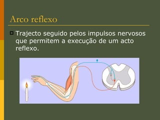 Arco reflexo Trajecto seguido pelos impulsos nervosos que permitem a execução de um acto reflexo. 