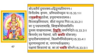 47
सोऽवतीयत द्रुमात्तस्मा-0र्छिद्रुमप्रर्छतमाननः ।
र्छवनीतवेषः क
ृ पणः , प्रर्छणपत्योपसृत्य च।।5.33.1।।
तामब्र ीन्महातेजा, हनूमान्मारुतात्मजः ।
र्छर्रस्यञ्जर्छलमाधाय, सीतां मधुरया र्छगरा।।5.33.2।।
का नु पद्मपलार्ार्छक्ष, स्वक्लष्टकौर्ेयवार्छसर्छन।
द्रुमस्य र्ाखमामालम्ब्य, वतष्ठवस त्वमर्छनस्वन्दते।।5.33.3।।
र्छकमर्तम तव नेिाभ्ां, वारर स्र वत र्ोकजम।
पुण्डरीकपलार्ाभ्ां, र्छवप्रकीणतर्छमवोदकम।।5.33.4।।
सुराणामसुराणां वा, नागगन्धवतरक्षसाम।
यक्षाणां र्छकिराणां वा, का त्वं भ वस र्ोिने।।5.33.5।।
 