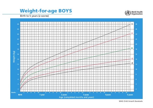grafik pertumbuhan bmi score chart