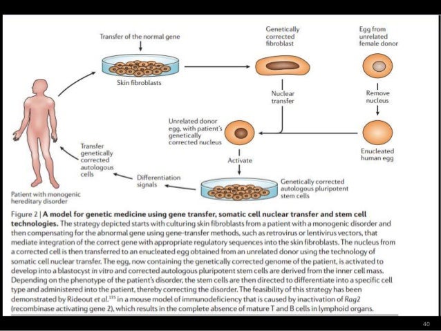 terapi gen kelainan genetik genetic disorders treatment