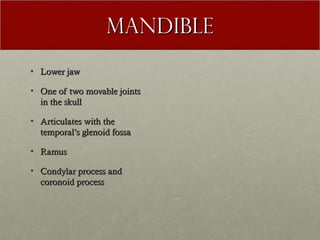 Mandible
• Lower jaw

• One of two movable joints
  in the skull

• Articulates with the
  temporal’s glenoid fossa

• Ramus

• Condylar process and
  coronoid process
 
