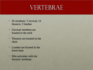Vertebrae
• 24 vertebrae: 7 cervical, 12
  thoracic, 5 lumbar

• Cervical vertebrae are
  located in the neck

• Thoracic are located in the
  chest

• Lumbar are located in the
  lower back

• Ribs articulate with the
  thoracic vertebrae.
 