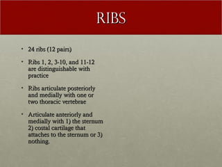 Ribs
• 24 ribs (12 pairs)

• Ribs 1, 2, 3-10, and 11-12
  are distinguishable with
  practice

• Ribs articulate posteriorly
  and medially with one or
  two thoracic vertebrae

• Articulate anteriorly and
  medially with 1) the sternum
  2) costal cartilage that
  attaches to the sternum or 3)
  nothing.
 