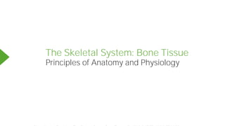 Powered by TCPDF (www.tcpdf.org)
The Skeletal System: Bone Tissue
Principles of Anatomy and Physiology
 