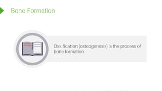 Ossification (osteogenesis) is the process of
bone formation.
Bone Formation
Powered by TCPDF (www.tcpdf.org)
 