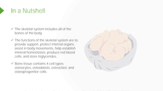 In a Nutshell
✓ The skeletal system includes all of the
bones of the body.
✓ The functions of the skeletal system are to:
provide support, protect internal organs,
assist in body movements, help establish
mineral homeostasis, produce red blood
cells, and store triglycerides.
✓ Bone tissue contains 4 cell types:
osteocytes, osteoblasts, osteoclast, and
osteoprogenitor cells.
Powered by TCPDF (www.tcpdf.org)
 