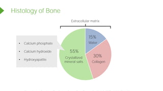 Histology of Bone
15%
55%
Crystallized
mineral salts
Water
• Calcium phosphate
• Calcium hydroxide
• Hydroxyapatite
30%
Collagen
Extracellular matrix
Powered by TCPDF (www.tcpdf.org)
 