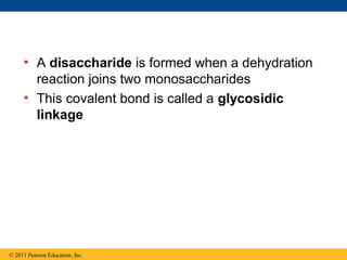 • A disaccharide is formed when a dehydration
       reaction joins two monosaccharides
     • This covalent bond is called a glycosidic
       linkage




© 2011 Pearson Education, Inc.
 
