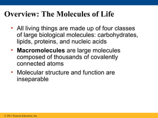 Overview: The Molecules of Life
     • All living things are made up of four classes
       of large biological molecules: carbohydrates,
       lipids, proteins, and nucleic acids
     • Macromolecules are large molecules
       composed of thousands of covalently
       connected atoms
     • Molecular structure and function are
       inseparable




© 2011 Pearson Education, Inc.
 