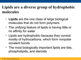 Lipids are a diverse group of hydrophobic
molecules
     • Lipids are the one class of large biological
       molecules that do not form polymers
     • The unifying feature of lipids is having little or
       no affinity for water
     • Lipids are hydrophobic because they consist
       mostly of hydrocarbons, which form nonpolar
       covalent bonds
     • The most biologically important lipids are fats,
       phospholipids, and steroids

© 2011 Pearson Education, Inc.
 