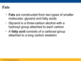 Fats
     • Fats are constructed from two types of smaller
       molecules: glycerol and fatty acids
     • Glycerol is a three-carbon alcohol with a
       hydroxyl group attached to each carbon
     • A fatty acid consists of a carboxyl group
       attached to a long carbon skeleton




© 2011 Pearson Education, Inc.
 