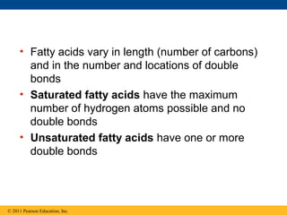 • Fatty acids vary in length (number of carbons)
       and in the number and locations of double
       bonds
     • Saturated fatty acids have the maximum
       number of hydrogen atoms possible and no
       double bonds
     • Unsaturated fatty acids have one or more
       double bonds




© 2011 Pearson Education, Inc.
 