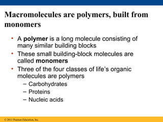 Macromolecules are polymers, built from
monomers
     • A polymer is a long molecule consisting of
       many similar building blocks
     • These small building-block molecules are
       called monomers
     • Three of the four classes of life’s organic
       molecules are polymers
                – Carbohydrates
                – Proteins
                – Nucleic acids


© 2011 Pearson Education, Inc.
 