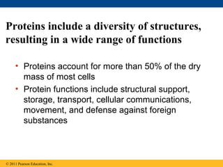 Proteins include a diversity of structures,
resulting in a wide range of functions

     • Proteins account for more than 50% of the dry
       mass of most cells
     • Protein functions include structural support,
       storage, transport, cellular communications,
       movement, and defense against foreign
       substances



© 2011 Pearson Education, Inc.
 