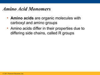 Amino Acid Monomers
     • Amino acids are organic molecules with
       carboxyl and amino groups
     • Amino acids differ in their properties due to
       differing side chains, called R groups




© 2011 Pearson Education, Inc.
 