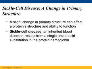 Sickle-Cell Disease: A Change in Primary
Structure
     • A slight change in primary structure can affect
       a protein’s structure and ability to function
     • Sickle-cell disease, an inherited blood
       disorder, results from a single amino acid
       substitution in the protein hemoglobin




© 2011 Pearson Education, Inc.
 