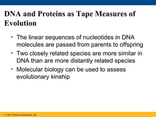 DNA and Proteins as Tape Measures of
Evolution
     • The linear sequences of nucleotides in DNA
       molecules are passed from parents to offspring
     • Two closely related species are more similar in
       DNA than are more distantly related species
     • Molecular biology can be used to assess
       evolutionary kinship




© 2011 Pearson Education, Inc.
 