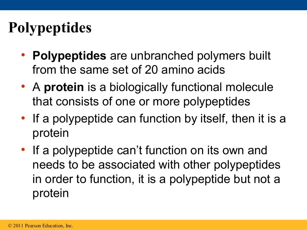 05 the structure and function of large biological molecules