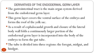 05 Third Week of Development II.pptx embryology | PPTX