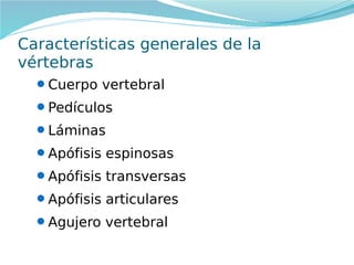 Características generales de la
vértebras
Cuerpo vertebral
Pedículos
Láminas
Apófisis espinosas
Apófisis transversas
Apófisis articulares
Agujero vertebral

 