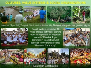 Integrated Agricultural System of Tri Hita Karana - Tri Mandala in Bali ...