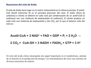 Reacciones del ciclo de Krebs
El ciclo de Krebs tiene lugar en la matriz mitocondrial en la célula eucariota. El acetil-
CoA (Acetil Coenzima A) es el principal precursor del ciclo. El ácido cítrico (6
carbonos) o citrato se obtiene en cada ciclo por condensación de un acetil-CoA (2
carbonos) con una molécula de oxaloacetato (4 carbonos). El citrato produce en
cada ciclo una molécula de oxaloacetato y dos CO2, por lo que el balance neto del
ciclo es:
Acetil-CoA + 3 NAD+ + FAD + GDP + Pi + 2 H2O →
2 CO2 + CoA-SH + 3 NADH + FADH2 + GTP + 3 H+
El ciclo del ácido cítrico desempeña otro papel importante en el metabolismo, además
de su función en la producción de energía. Los intermediarios del ciclo son sustratos de
diversas reacciones de síntesis.
 
