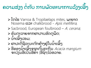 ຄວາມສ່ ຽງ ຕ່ ກັ ບ ການພັ ດທະນາການລ້ ຽງເຜ້ ງ
 ໂຕໄຮ Varroa & Tropilaelaps mites, ພະຍາດ
Nosema ແລະ chalkbrood - Apis mellifera,
 Sacbrood, European foulbrood – A. cerana;
 ອັ ນຕະລາຍຈາກຢາປາບສັ ດຕພດ;
 ນ້ າເຜ້ ງປອມ;
 ຢາປະຕຊວະນະຕກຄ້ າງຢ່ ໃນນ້ າເຜ້ ງ;
 ສຂອງນ້ າເຜ້ ງຈາກຕ້ ນກະຖນ Acacia mangium
ຈະປ່ ຽນສເປັ ນສຄ້ າ (ສຊ້ າ)ໄວຫລາຍ.
 