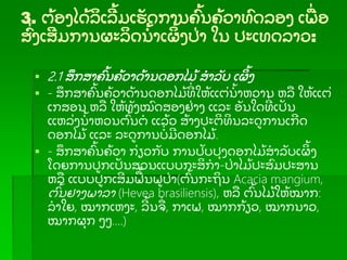 3. ຕ້ ອງໄດ້ ລເລ້ ມເຮັ ດການຄ້ ນຄ້ ວາທດລອງ ເພ່ ອ
ສ່ ງເສມການຜະລດນ້ າເຜ້ ງປ່ າ ໃນ ປະເທດລາວ:
 2.1 ສກສາຄ້ ນຄ້ ວາດ້ ານດອກໄມ້ ສາລັ ບ ເຜ້ ງ
 - ສກສາຄ້ ນຄ້ ວາດ້ ານດອກໄມ້ ທ່ ໃຫ້ ແຕ່ ນ້ າຫວານ ຫລ ໃຫ້ ແຕ່
ເກສອນ ຫລ ໃຫ້ ທັ ງໝດສອງຢ່ າງ ແລະ ອັ ນໃດທ່ ເປັ ນ
ແຫລ່ ງນ້ າຫວນຕ້ ນຕ ແລ້ ວ ສ້ າງປະຕທນລະດການເກດ
ດອກໄມ້ ແລະ ລະດການບ່ ມດອກໄມ້ .
 - ສກສາຄ້ ນຄ້ ວາ ກ່ ຽວກັ ບ ການປັ ບປຸ ງດອກໄມ້ ສາລັ ບເຜ້ ງ
ໂດຍການປກເປັ ນສວນແບບກະສກາ-ປ່ າໄມ້ ປະສມປະສານ
ຫລ ແບບປກເສມຟ້ ນຟປ່ າ(ຕ້ ນກະຖນ Acacia mangium,
ຕ້ ນຢາງພາລາ (Hevea brasiliensis), ຫລ ຕ້ ນໄມ້ ໃຫ້ ໝາກ:
ລາໃຍ, ໝາກເຫງະ, ລ້ ນຈ່ , ກາເຟ, ໝາກກ້ ຽວ, ໝາກນາວ,
ໝາກຜຸ ກ ໆໆ….)
 