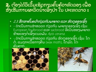 2. ຕ້ ອງໄດ້ ລເລ້ ມເຮັ ດການຄ້ ນຄ້ ວາທດລອງ ເພ່ ອ
ສ່ ງເສມການຜະລດນ້ າເຜ້ ງປ່ າ ໃນ ປະເທດລາວ :
 2.3 ສກສາຄ້ ນຄວ້ າກ່ ຽວກັ ບພະຍາດ ແລະ ສັ ດຕຂອງເຜ້ ງ
 - ດາເນນການສາຫລວດ ກ່ ຽວກັ ບ ພະຍາດຂອງເຜ້ ງ ເຊັ່ ນ:
European foulbrood ແລະ sacbrood ທ່ ເປັ ນສອງພະຍາດ
ຮ້ າຍແຮງຕ່ ເຜ້ ງແນວພັ ນ Apis cerana.
 - ດາເນນການສາຫລວດ ກ່ ຽວກັ ບ ສັ ດຕຂອງເຜ້ ງ ເຊັ່ ນ: ໂຕ
ຕ່ , ແມງກະເບ້ ອກາງຄນ (wax moth), ໂຕມດ, ໂຕ
ຄັ ນຄາກ….
 