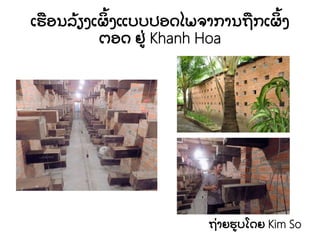 ເຮອນລ້ ຽງເຜ້ ງແບບປອດໄພຈາການຖກເຜ້ ງ
ຕອດ ຢ່ Khanh Hoa
ຖ່ າຍຮບໂດຍ Kim So
 