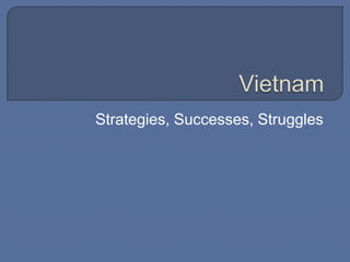Vietnam Strategies, Successes, Struggles 