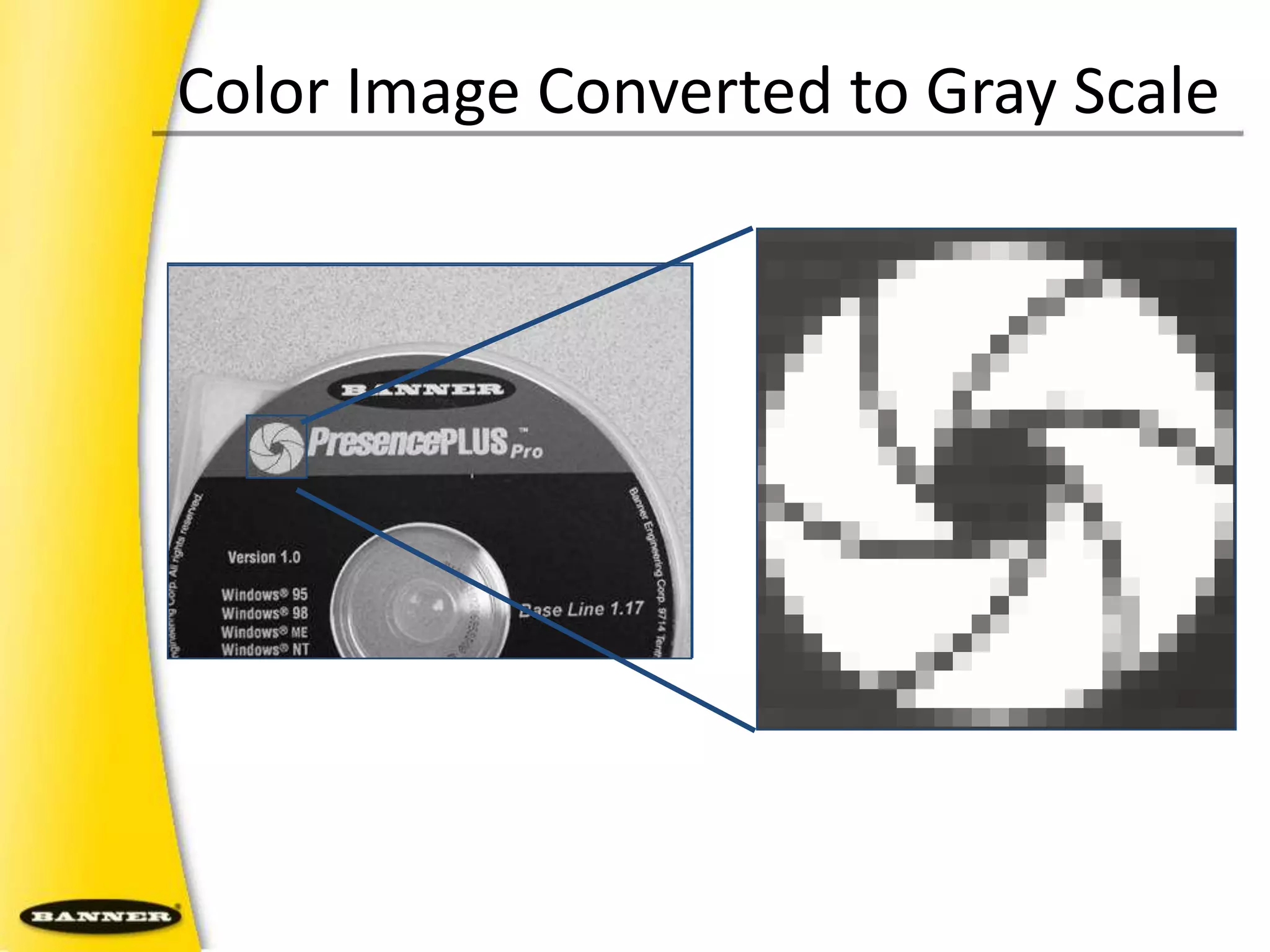 Color Image Converted to Gray Scale