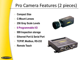 256 Gray Scale Levels