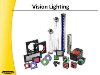 Vision Lighting 