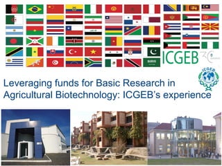 Leveraging funds for Basic Research in
Agricultural Biotechnology: ICGEB’s experience
 