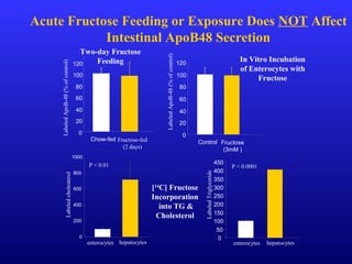 20
60
80
100
0
40
120
Chow-fed Fructose-fed
(2 days)
0
20
40
60
80
100
120
Control Fructose
(3mM )
0
200
400
600
800
1000
enterocytes hepatocytes
P < 0.01
LabeledApoB-48(%ofcontrol)
LabeledApoB-48(%ofcontrol)
Labeledcholesterol
0
50
100
150
200
250
300
350
400
450
enterocytes hepatocytes
LabeledTriglyceride
P < 0.0001
Acute Fructose Feeding or Exposure Does NOT Affect
Intestinal ApoB48 Secretion
[14
C] Fructose
Incorporation
into TG &
Cholesterol
Two-day Fructose
Feeding In Vitro Incubation
of Enterocytes with
Fructose
 