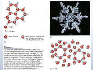 05 water and diffusion