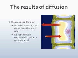 05 water and diffusion